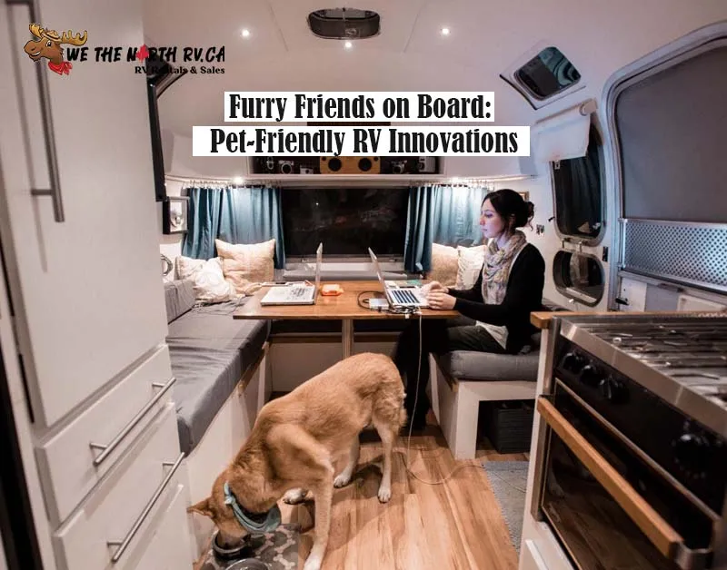 Furry Friends on Board: Pet-Friendly RV Innovations