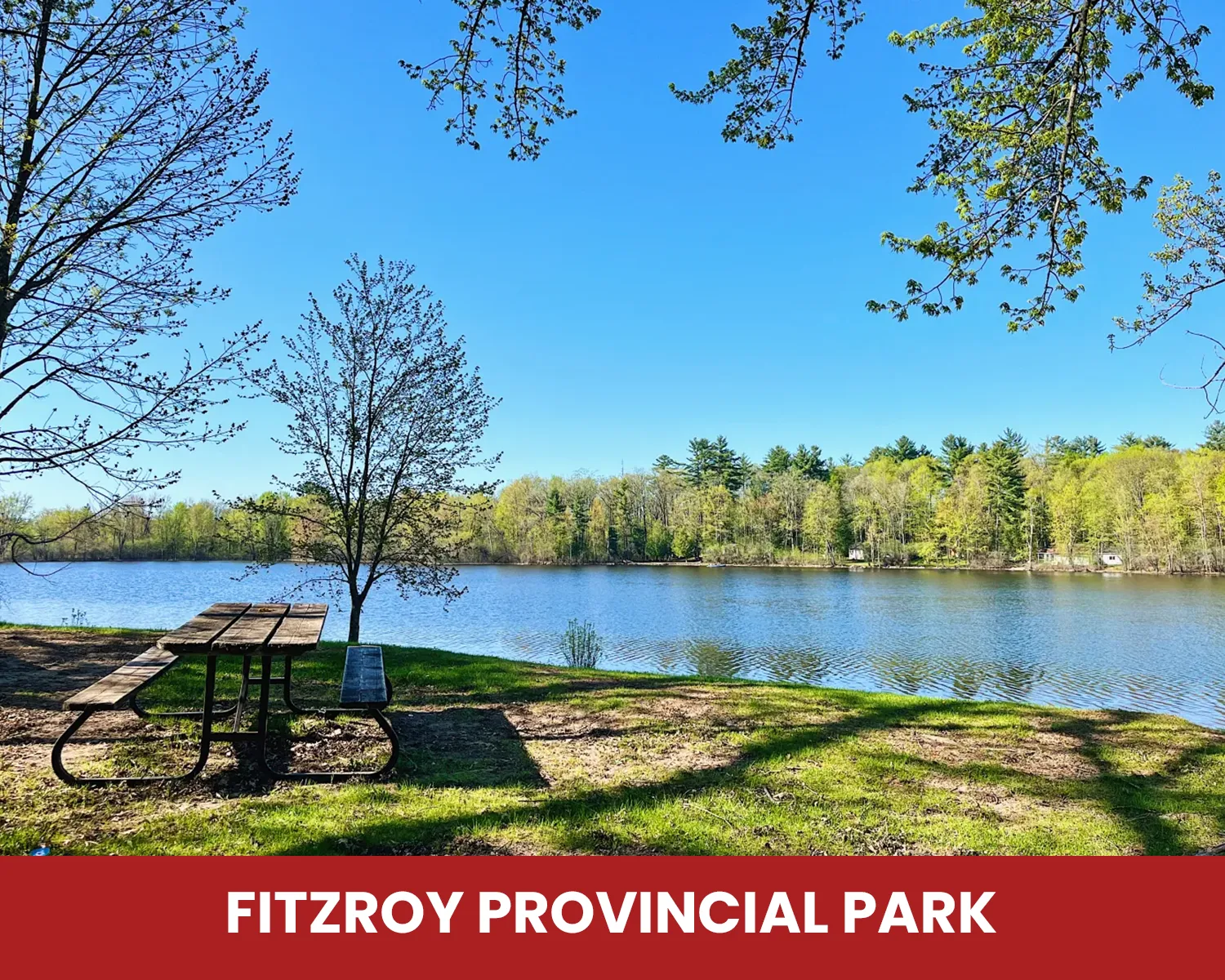 Fitzroy Provincial Park