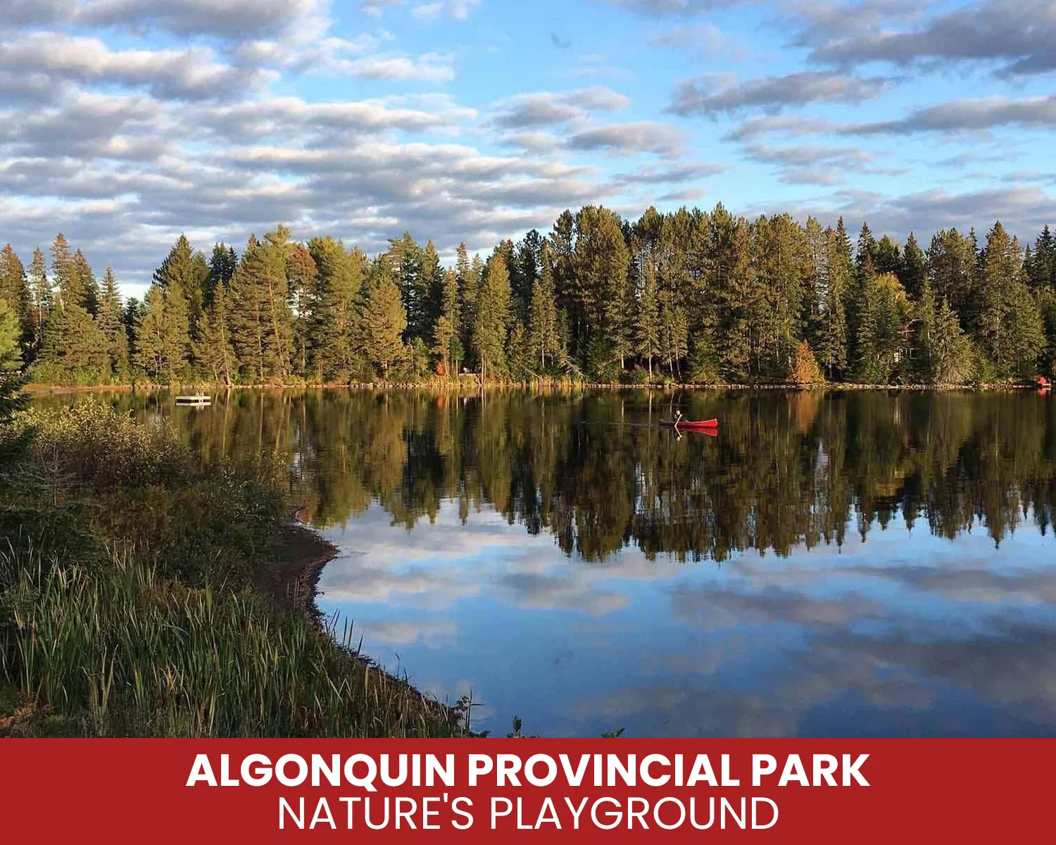 Algonquin Provincial Park: Nature's Playground