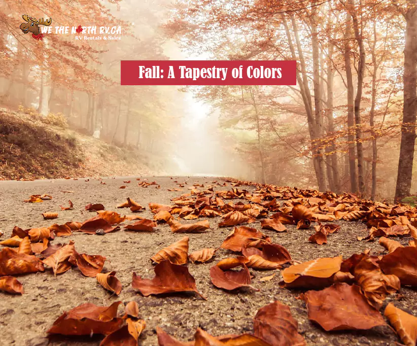 Fall: A Tapestry of Colors