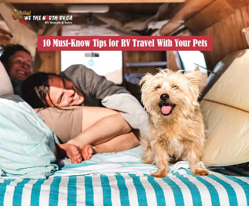 10 Must-Know Tips for RV Travel With Your Pets