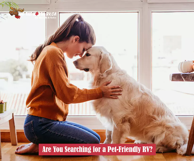 Are You Searching for a Pet-Friendly RV?