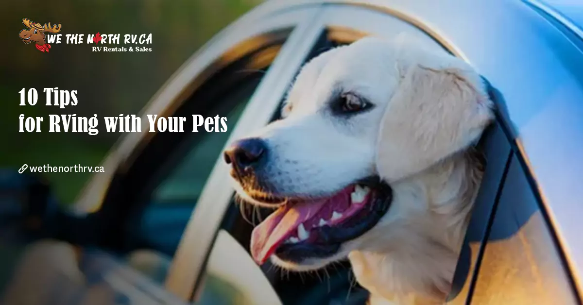 10 Tips for RVing with Your Pets